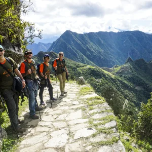 CAMINO INCA 2D